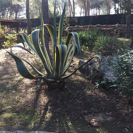Villa La Rosa Dei Venti
