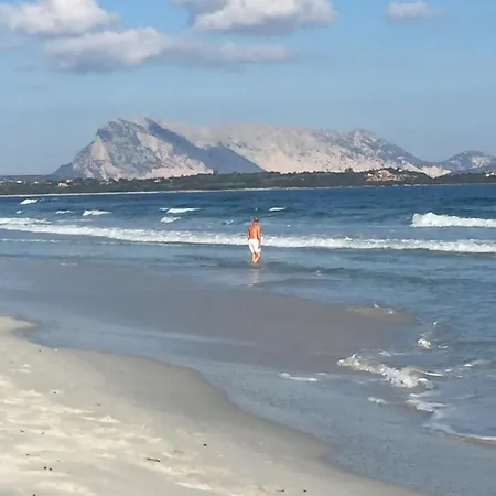 Villa La Rosa Dei Venti Capo Coda Cavallo